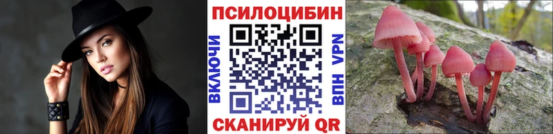 Купить  Спас-Деменск  Галлюциногенные грибы ЛСД 